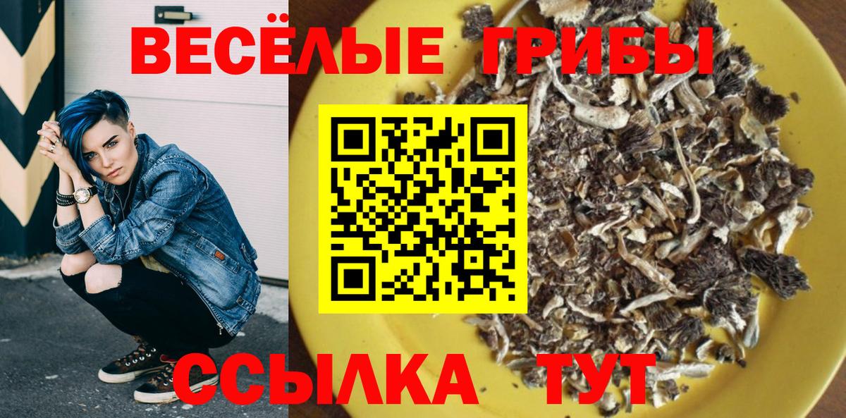 Псилоцибиновые грибы Magic Shrooms Саратов